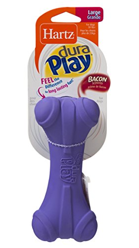 Hartz Dura Play Bacon Scented Dog Bone Toy - Large (Colors Vary)