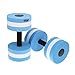 Water Barbells Dumbells,Eamber Aqua Fitness Barbells Exercise Hand Bars,Set of 2 Foam Dumbbells (Blue)