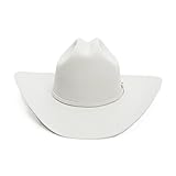 Stetson Men's Skyline Hat, Silver Grey, 7 1/4