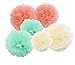 HEARTFEEL 12pcs 10 inch 8inch Tissue Paper Pom-poms Cream Mint Peach Outdoor Decoration Tissue Paper Pom Poms Party Balls Wedding Christmas Xmas Decoration Baby Shower Decor