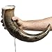 AleHorn Viking Drinking Horn with Stand - Viking Mug Drinking Horn Cup, Horn Mug Large | Viking Horn Mug - Handcrafted Tankard Mug & Viking Cup | Viking Mugs for Men | Viking Beer Mug 20 oz