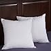 puredown® Feathers Throw Pillow Inserts Set of 2 for Couch, Recliner, Bed Decor, Square, 16 x 16 inch