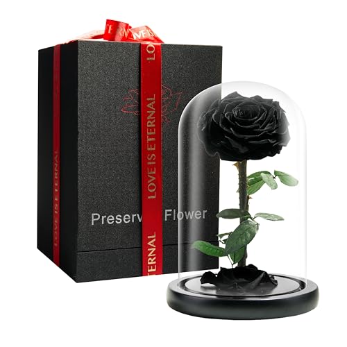 LOVAPPY Forever Preserved Rose - Ewige Rose in Glaskuppel - Die Schöne und das Biest Rose für Mama - Frische Blumen (Schwarz, 22,9 cm)