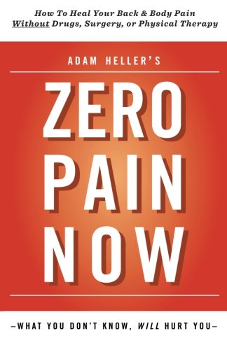 Mirelle Publishing LLC Adam Heller's Zero Pain Now
