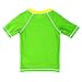 Teenage Mutant Ninja Turtles Boys Rashguard Swimwear (4, Power Green)