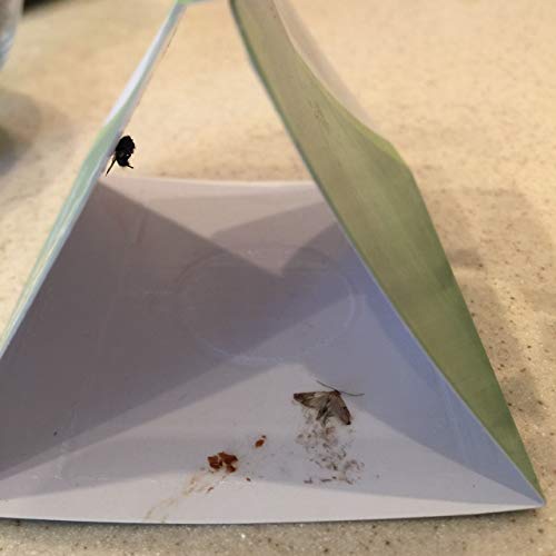 Pantry Moth Trap (7 Pack) Closet Traps for Moths with Unique Hanging