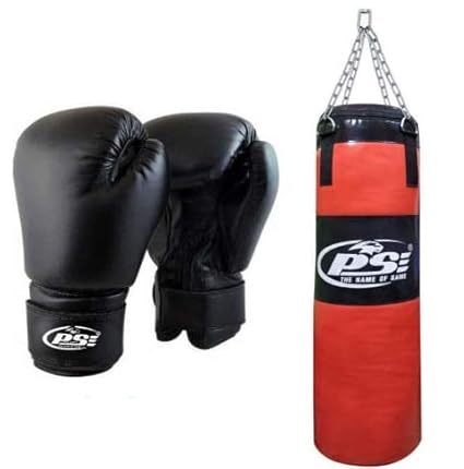 punching bag and gloves
