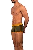 Obviously Lumber Collection - AnatoFREE Hipster Trunk
