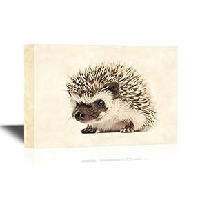 Four Toed Hedgehog