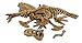 Geoworld Dino Excavation Kit - T-Rex Skeleton