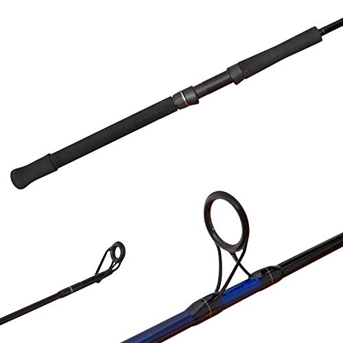 Top 10 Saltwater Fishing Rods Shimano of 2020 No Place Called Home
