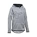 Under Armour UA Armour Fleece Jumbo Logo YLG True Gray Heather