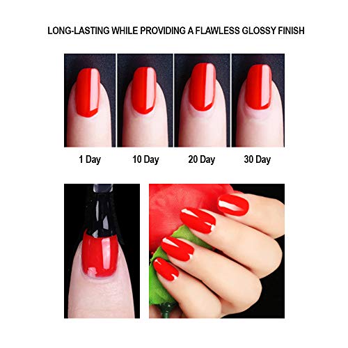 Base Coat No Wipe Top Coat Set for UV LED Gel Nail Polish, Shine Finish and Long Lasting, Soak Off UV LED Gel, 12ml Each Bottle