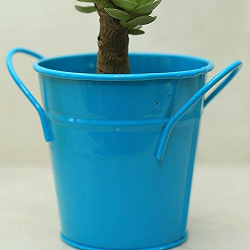 Home Mart Small Iron Bucket Small Metal Buckets Mini Metal Bucket Tin Candy Box Buckets