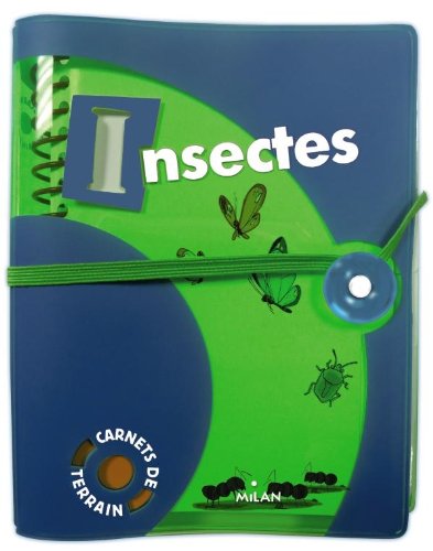 Insectes
