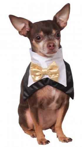 Rubies Costume Company Bowtie and Vest-Look-Bandana Pet Costume