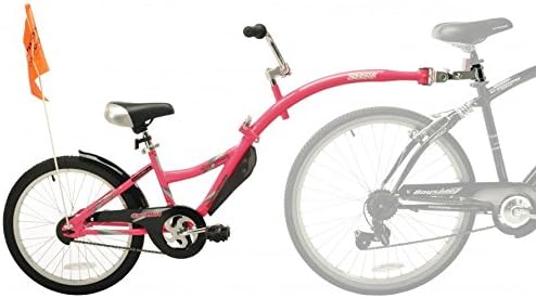 weeride co pilot bike