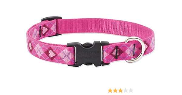 hollywood feed collars