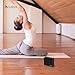 COULAX Bluetooth Speakers Mini Portable Wireless Speaker Driver Powerful with Enhanced Bass, Built-in Mic and 10 Hour Playtime (Luxurious Fabric and Classic)
