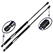 Qty 2- Fits 2000-2006 Tahoe Suburban Yukon Escalade Rear Hatch Lift Supports- WGS-112 - Wisconsin Auto Supply