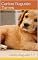 Livro como treinar seu cachorro: Domando seu cachorro