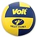 Voit Budget Volley Trainer