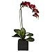 Nearly Natural Phalaenopsis Orchid with Black Vase Silk Arrangement (Set of 2)