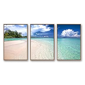 Framed Canvas Wall Art for Living Room,...