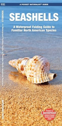 The Encyclopedia of Shells: Kenneth R. Wye: 9781861609526: Amazon