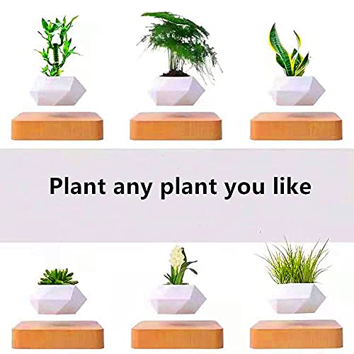 GCM XFHP Levitating Air Bonsai Pot, Levitating Plant,