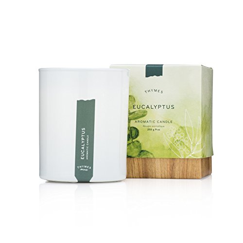 Thymes Aromatic Candle 9 Oz Eucalyptus Pricepulse