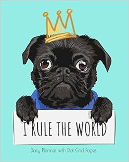 funny black pug pictures