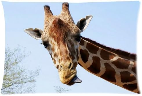 Zippered This is a lovely Giraffes Pillowcase Covers Standard Size 20x30 inch(One Side) by Giraffes pillow case