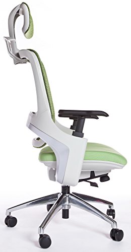 Ego Premium Class Executive Ergonomic Office Chair In Green