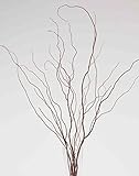 Green Floral Crafts Dried Curly Willow 3-4 Ft Tall, Bunch of 8-10, 3-tone Brown