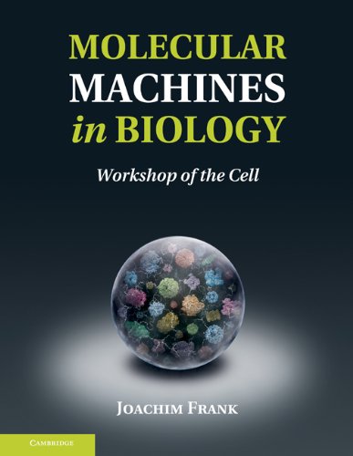 MOLECULAR MACHINES IN BIOLOGY