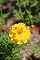 Livro Plantas e flores