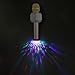 USB Mini Disco Light, Portable Ball Party DJ Light, DC 5V USB Strobe Club Lights for Christmas Home KTV Xmas Wedding Show Pub