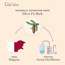 Gya Labs Silver Fir Essential Oil
