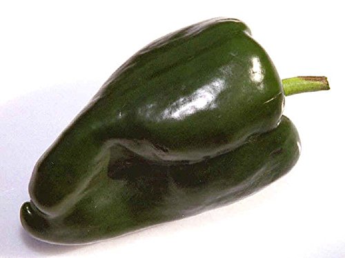 Ancho Pablano Pepper 4 Plants - Most popular Chile Ancho Pablano Pepper 4 Plants - Most popular Chile