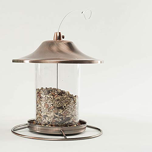 Wagner's 82072 Gourmet Nut & Fruit Wild Bird Food, 5 Pound (Pack of 1