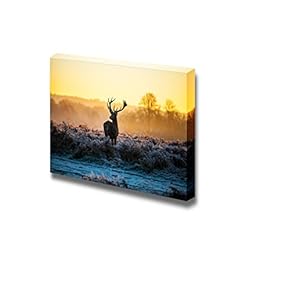 Canvas Prints Wall Art - Red Deer in Morning Sun | Modern Wall Decor/Home Decoration Stretched Gallery Canvas Wrap Giclee Print. Ready to Hang - 12" x 18"