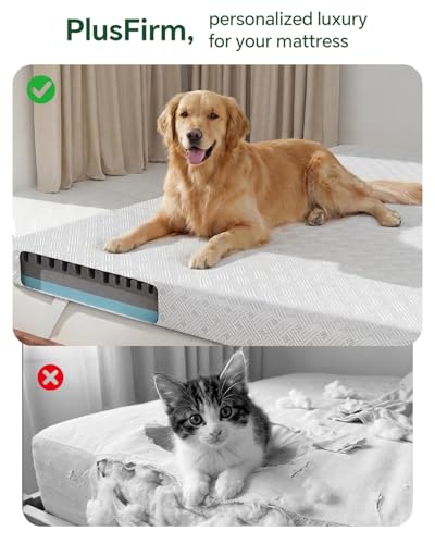Qocismile College Dorm Room Essentials Twin XL Mattress Topper Firm Gel Memory Foam Mattress Topper for Pressure Relief 3 inch Mattress Bed Pad,Dual-Layer Foam,Bamboo Rayon Cover for Comfort Sleep