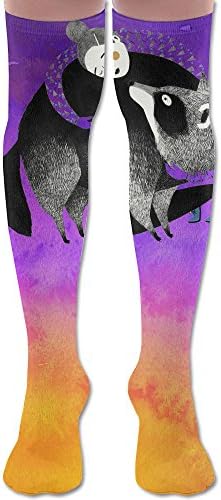 Human With Animall Girl And Raccoon Outdoors Soft And Elastic Casual Socks