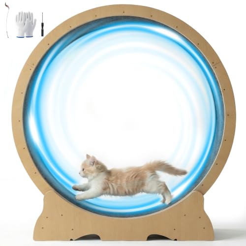 POLAHAKU Cat Exercise Wheel