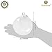 SunGrow Air Plant Glass Orbs