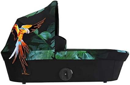 mios birds of paradise