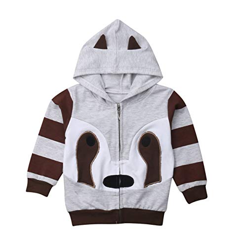 Buy Baby Hoodie Long Sleeve Cute Racoon Kitty Design Hooded Sweatshirt One Piece Casual Tops Spring Autumn Online In Kuwait B07pjyfpqc