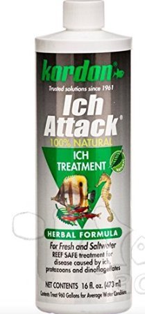 kordon ich attack reef safe