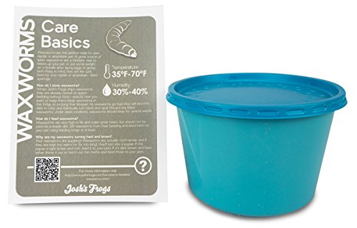 Josh's Frogs Waxworms (250 Count)
